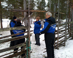 Rentierführerschein in Salla, Finnland 2010
