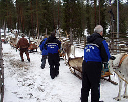 Salla, Finnland 
Ski Rock 2010